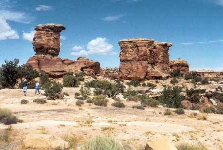 Felsformationen beim Needles Overlook