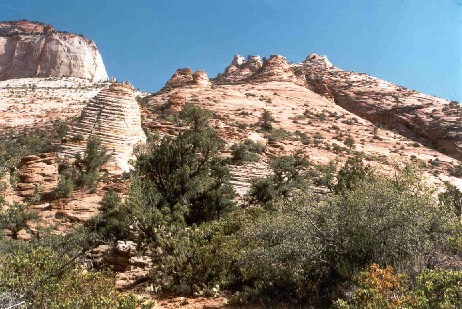 Zion National Park - Felsformation ''Bienenkrbe''